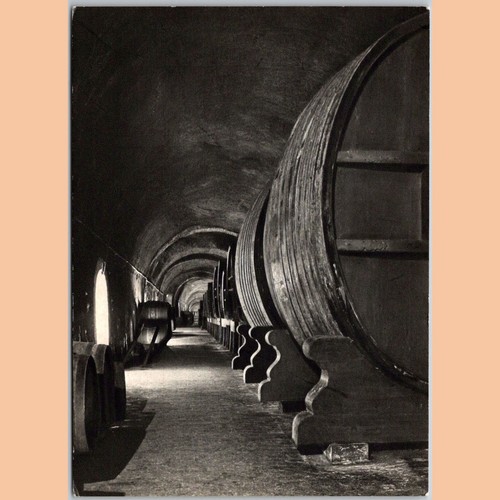 Postcard moet chandon - chandon, wine